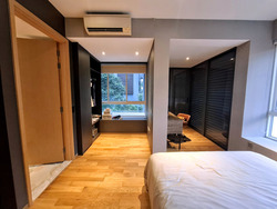 The Peak @ Cairnhill I (D9), Apartment #513168781